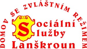 DZR logo